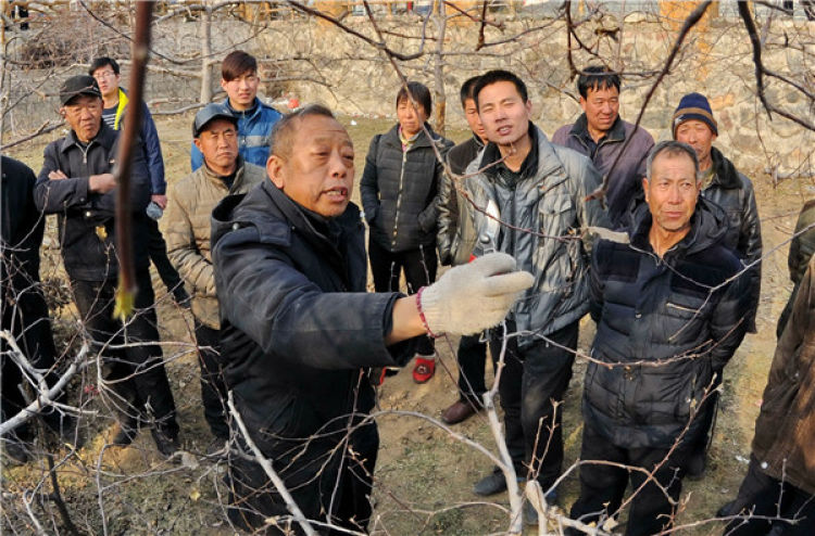 　　李保國(guó)（前左）在河北省內(nèi)丘縣崗底村向村民講解果樹(shù)修剪知識(shí)（2016年1月27日攝）。新華社記者 朱旭東 攝